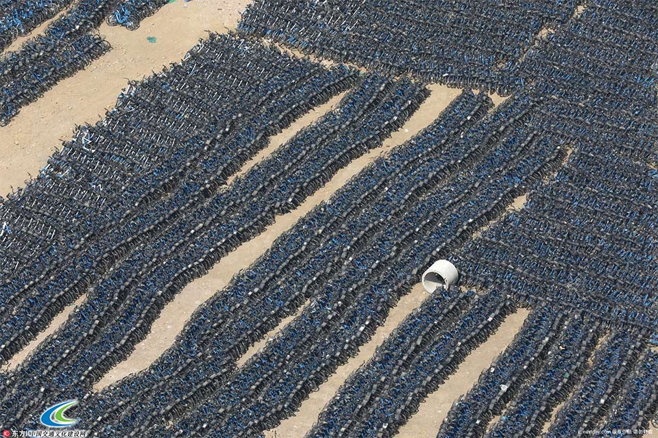 七万辆小蓝单车停放废旧停车场　空中俯瞰如“河流”蜿蜒 3